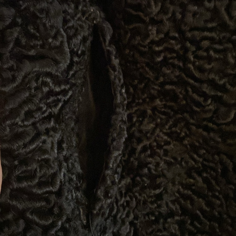 FUR - Picture 11 of 14